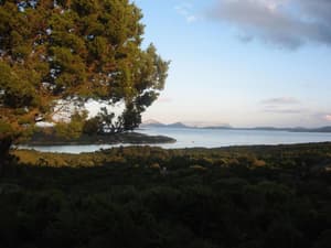 thumbnail: Property grounds