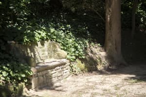thumbnail: Garden