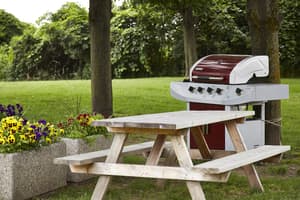 thumbnail: BBQ/picnic area