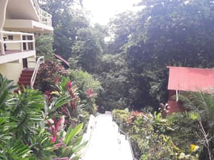 thumbnail: Property grounds