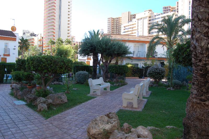 General view