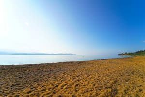 thumbnail: Beach
