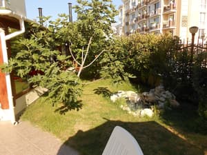 thumbnail: Property grounds