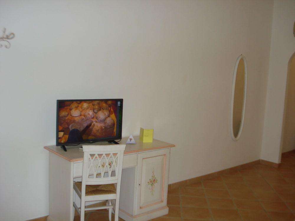 Television