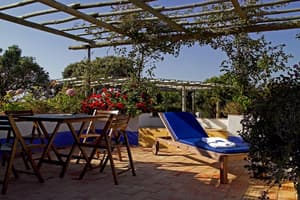 thumbnail: Terrace/patio