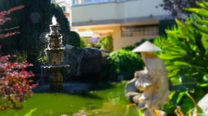 thumbnail: Garden