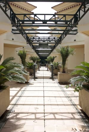 thumbnail: Reception