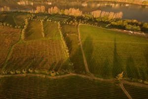 thumbnail: Aerial view