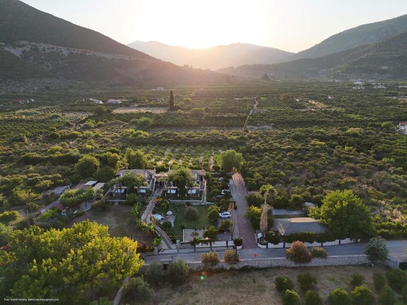 General view
