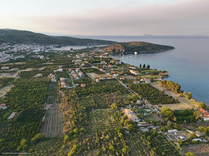 General view