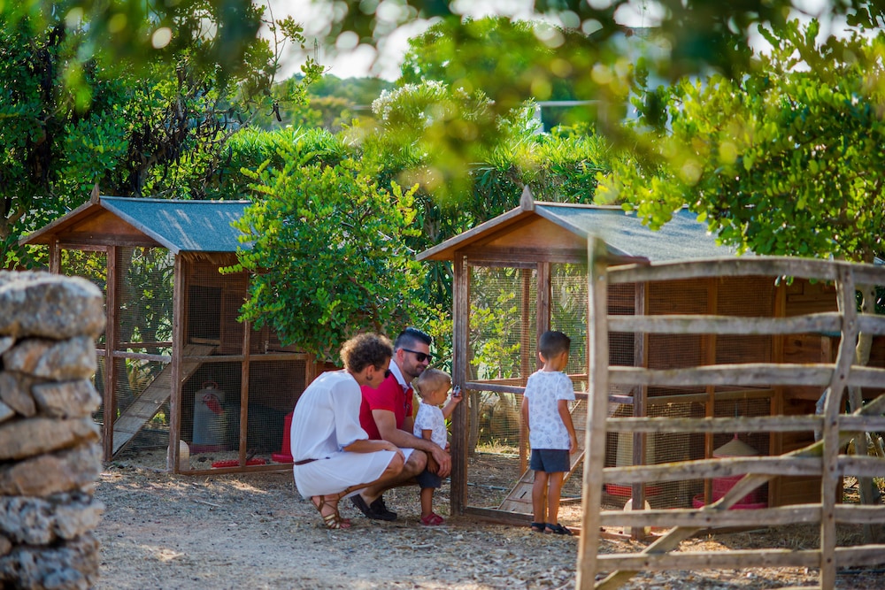Children's activities