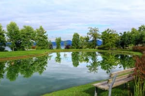 thumbnail: Garden