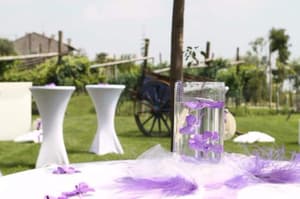 thumbnail: Bar (on property)