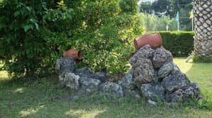 thumbnail: Property grounds