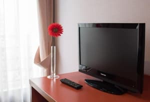 thumbnail: General view