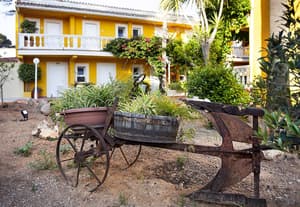 thumbnail: Garden