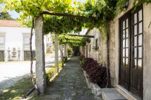 thumbnail: Terrace/patio