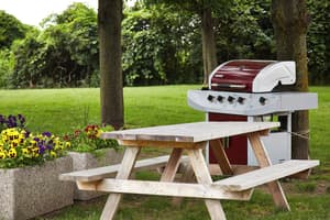 thumbnail: BBQ/picnic area