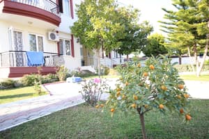 thumbnail: Garden