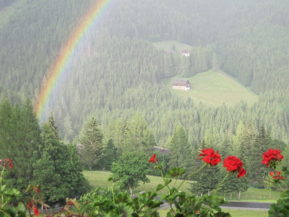 View from property