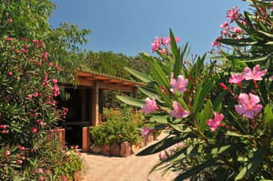 thumbnail: Garden view