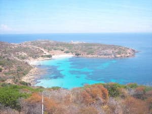 thumbnail: General view
