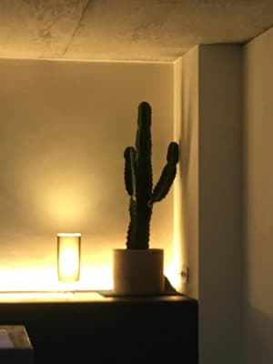 thumbnail: Dining
