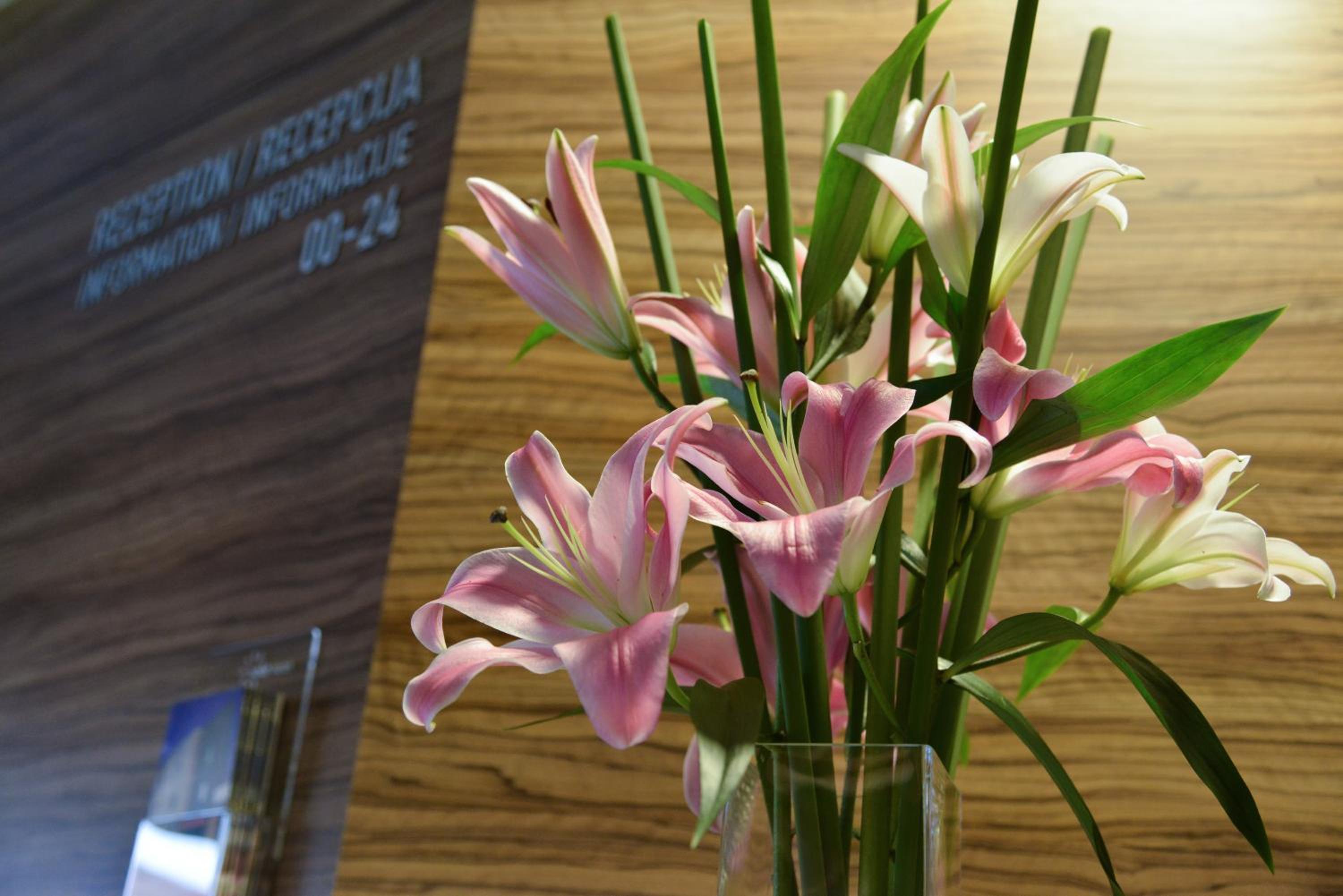 Restaurant-cafeteria