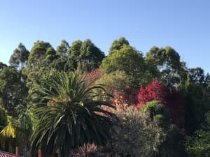 thumbnail: View from property