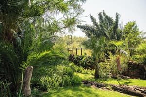 thumbnail: Garden
