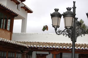 thumbnail: Front of property