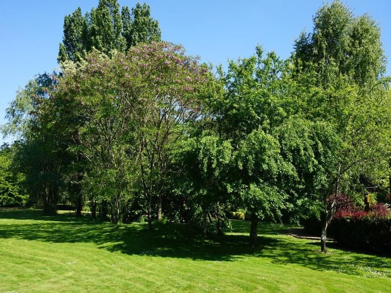 General view