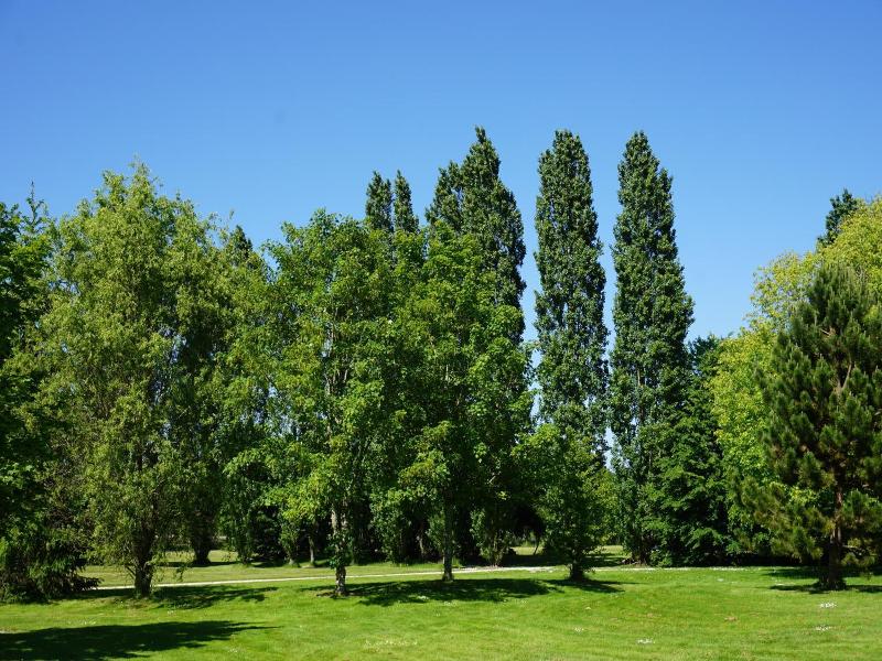 General view