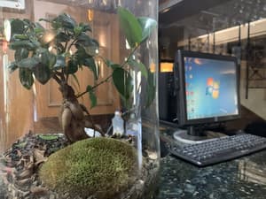thumbnail: Work-area
