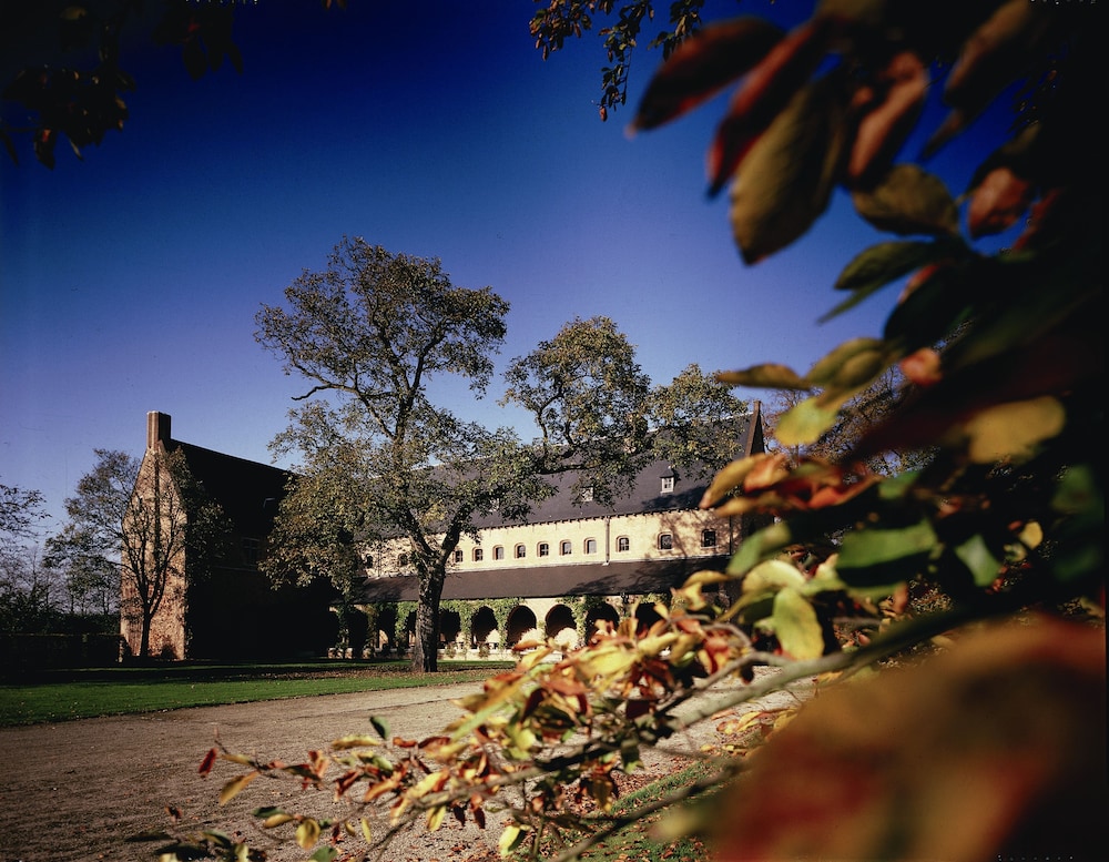 Primary image