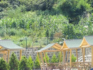 thumbnail: Property grounds