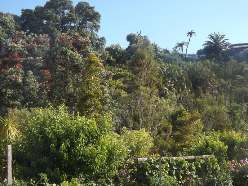 General view