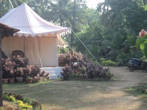 thumbnail: Property grounds