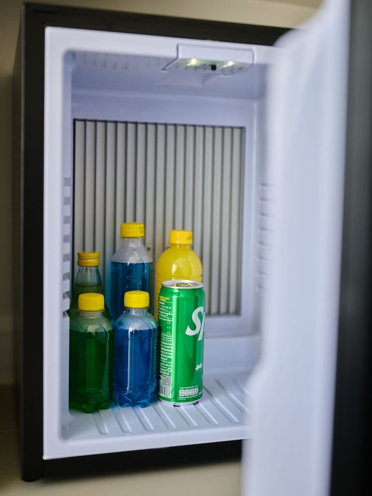 Mini-refrigerator