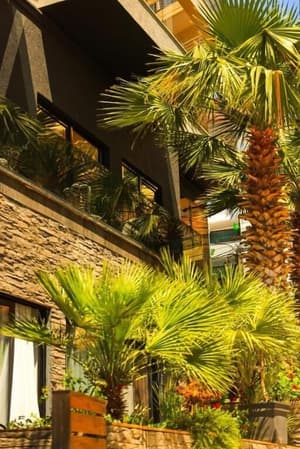 thumbnail: Terrace/patio