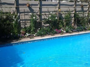 thumbnail: Outdoor pool