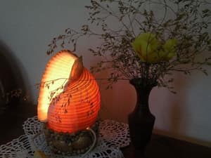 thumbnail: Interior detail
