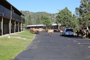 thumbnail: Mountain view