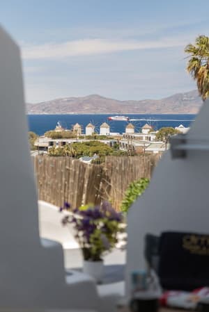 thumbnail: Terrace/patio