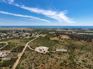 thumbnail: Aerial view