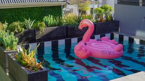 thumbnail: Pool