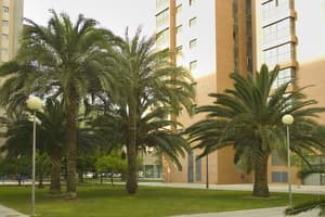 thumbnail: Interior
