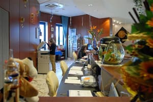 thumbnail: Reception