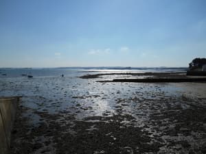 thumbnail: Beach