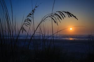 thumbnail: Beach